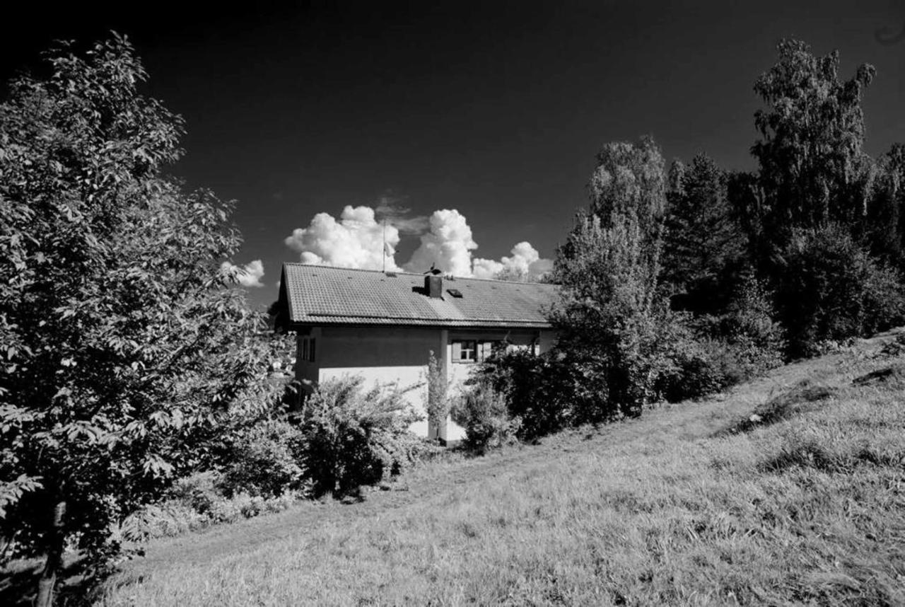 Ferienwohnungen Haus "Wildschuetz" 프라우에나우 외부 사진